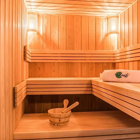 In With Sauna Buje